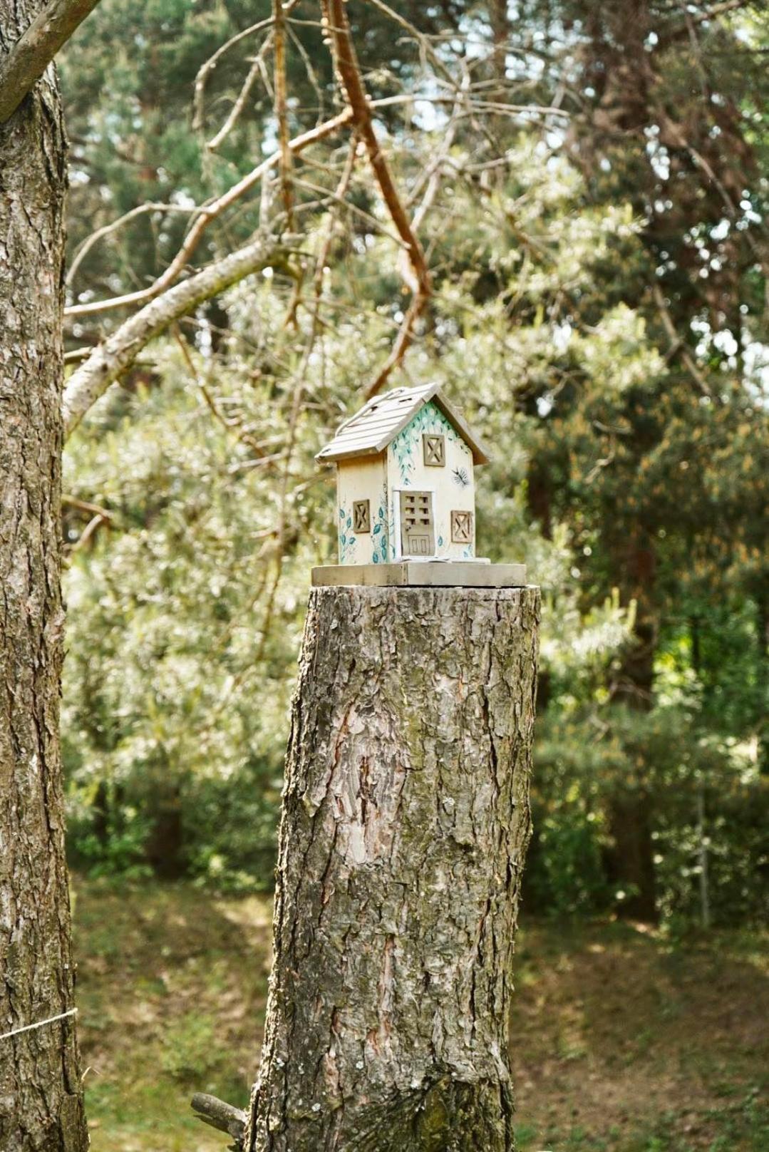 Osada Zaborek Holiday home
